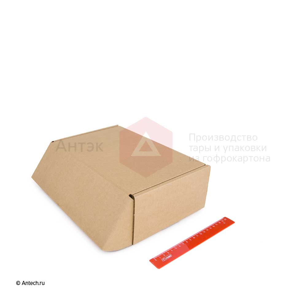 Самосборная картонная коробка 300x200x100 мм Т−24B бурый (фото 5) – купить в Москве